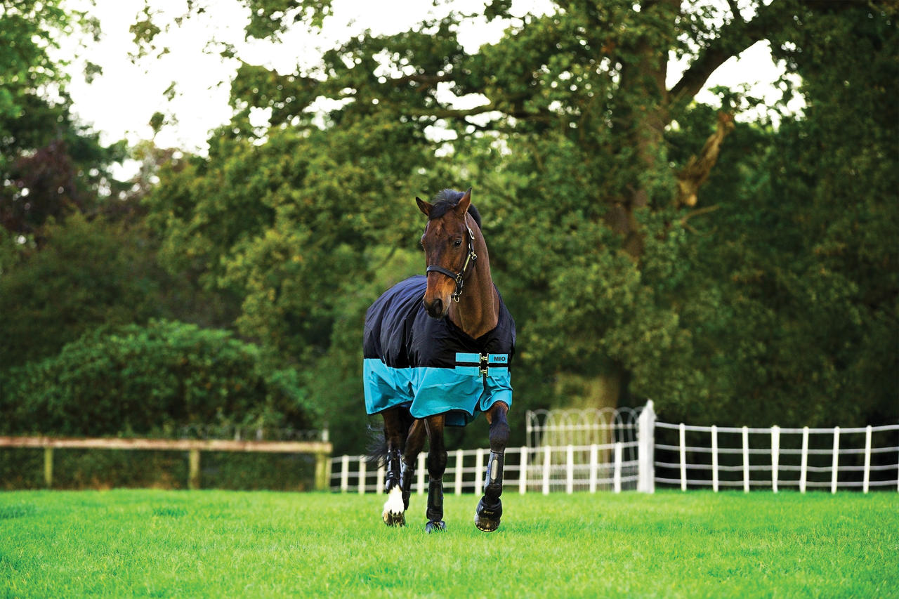 Horseware Mio Turnout Lite - Weidedecke