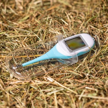 Fieberthermometer