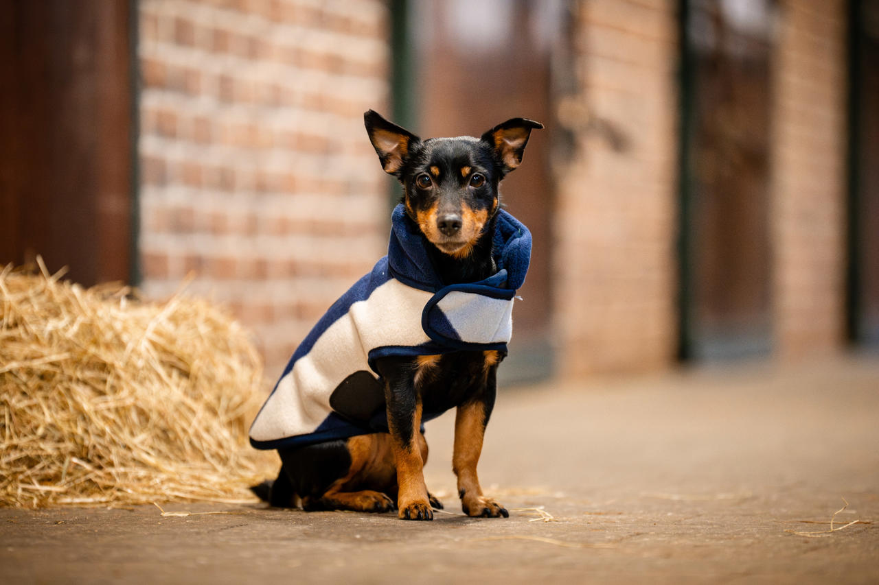 Horseware Signature Dog Fleece