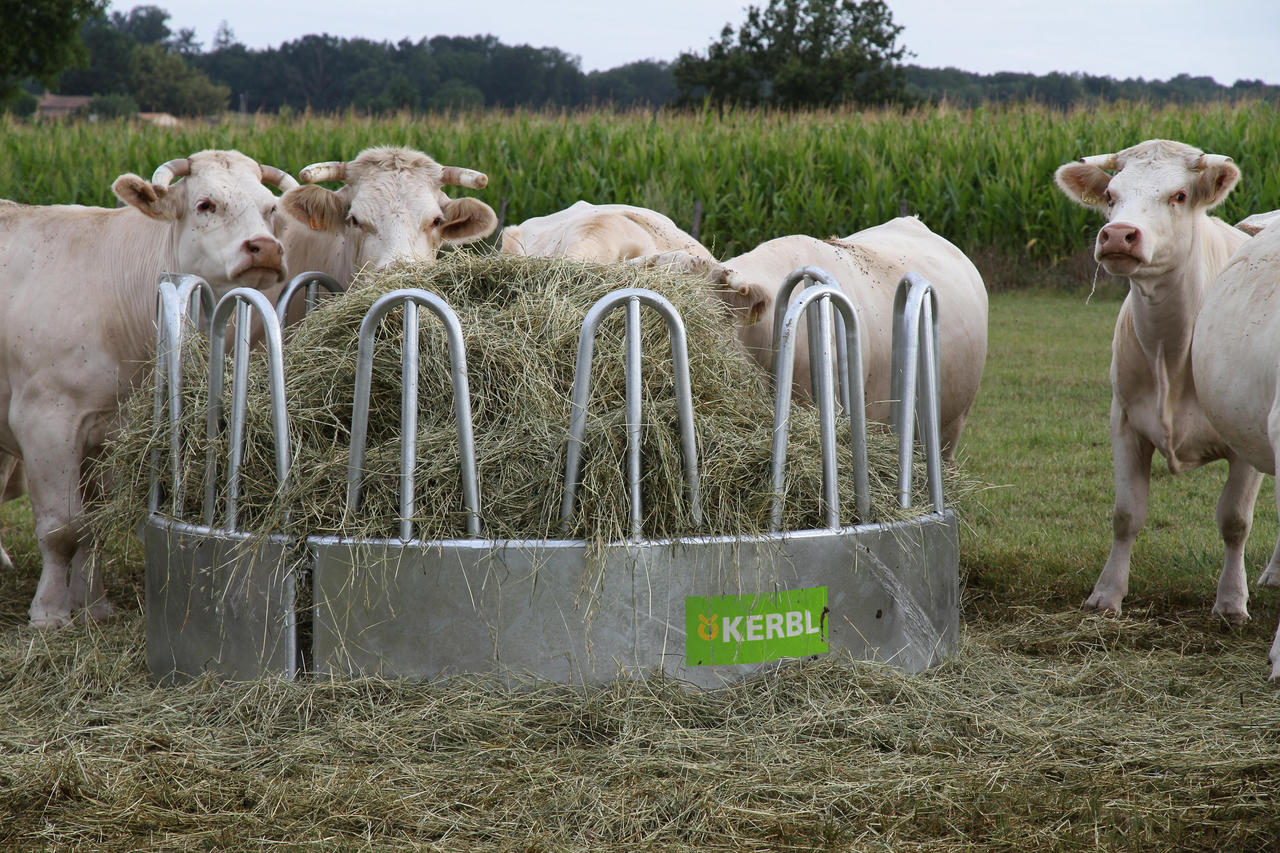 Kerbl Rundraufe mit 12 Fressplätzen