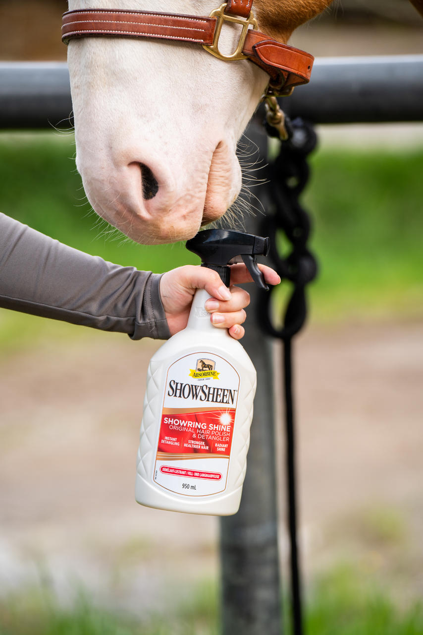 Absorbine ShowSheen Haarversiegelung