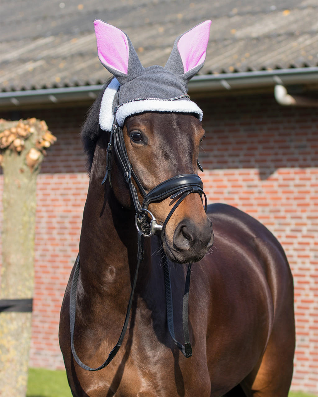 QHP Osterhasenohrenhaube