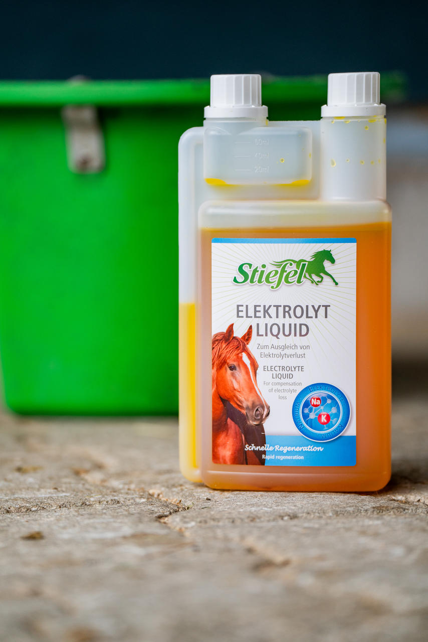 Stiefel Elektrolyt Liquid 1 l