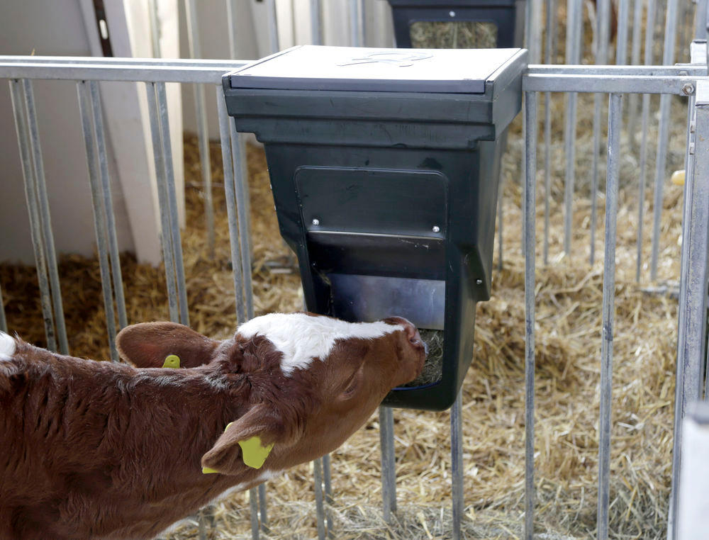 Kerbl Kraftfutterbox für Kälberhüttenzäune