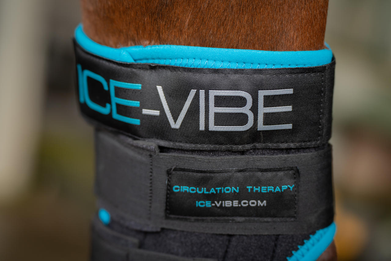 Horseware Ice-Vibe Hock Wrap