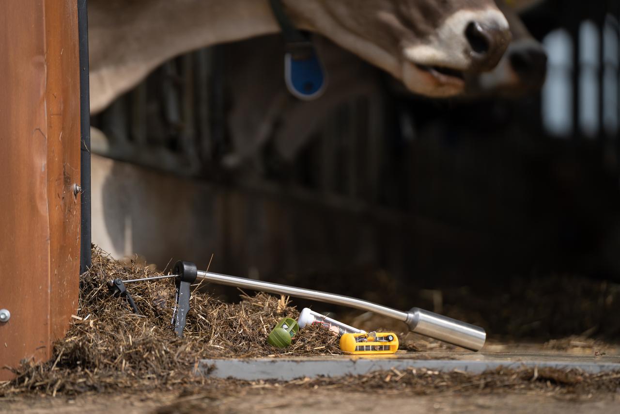 Pillen-/Magnet- und Boluseingeber