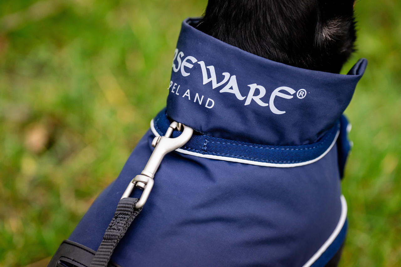 Horseware Signature Dog Rain Coat