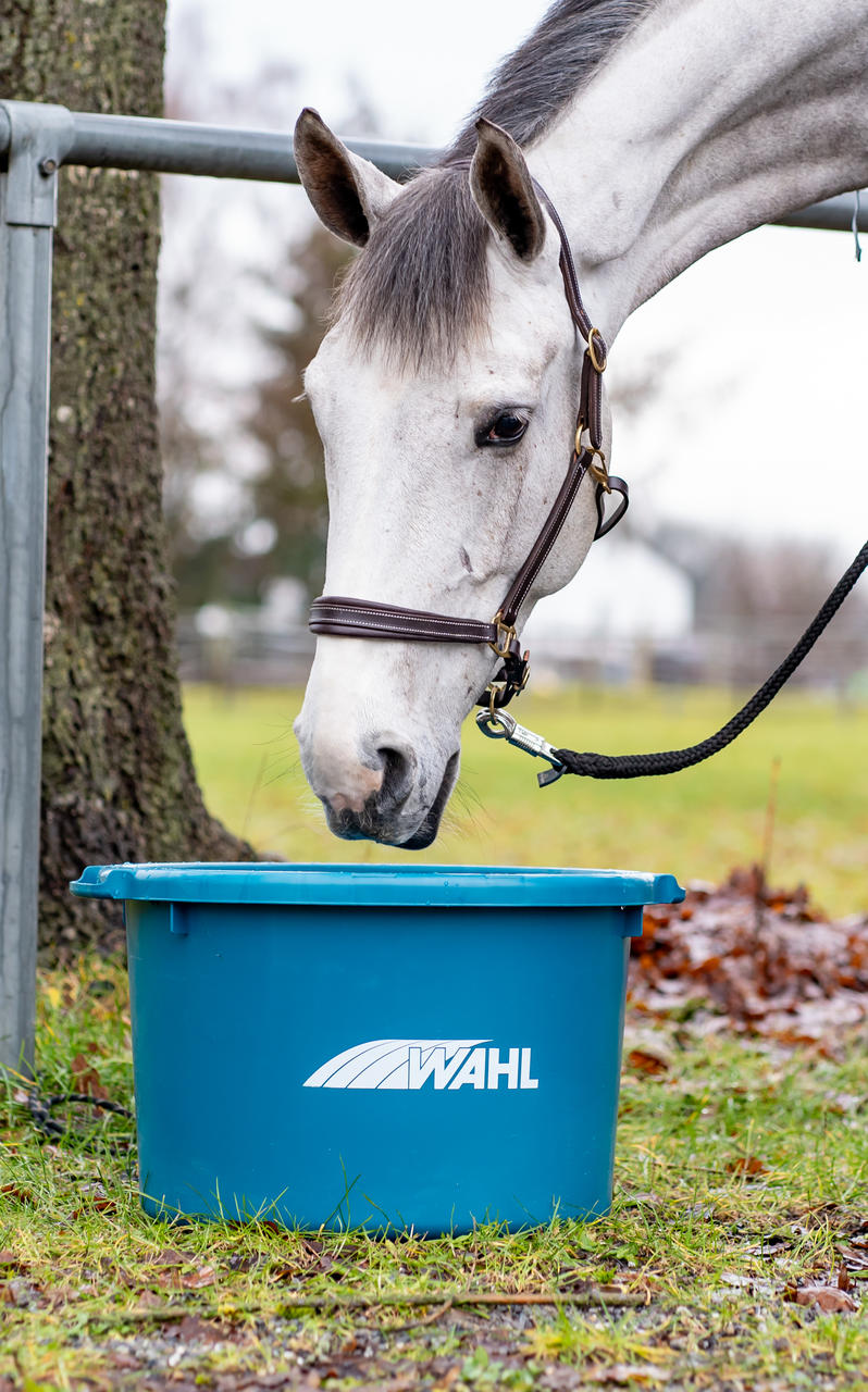 WAHL-Hausmarke Wasser- und Futterwanne - 60 l