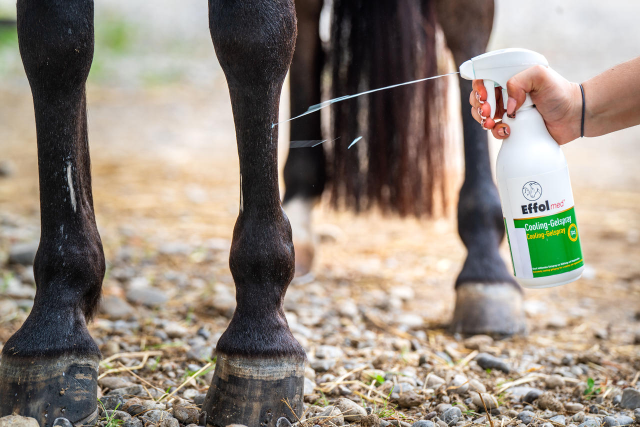 Effol MED Cooling Gel Spray