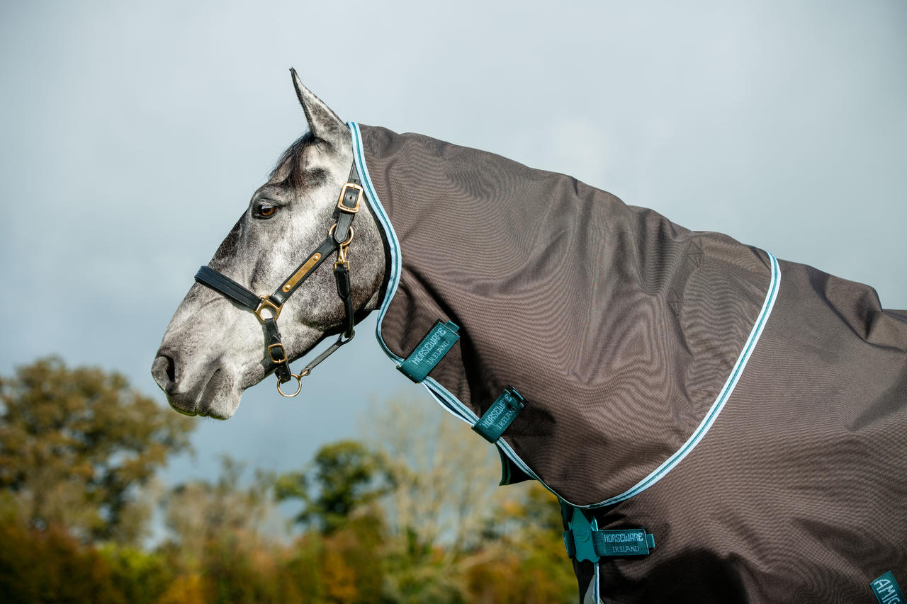 Horseware Amigo Bravo 12 Plus Turnout Medium 250g