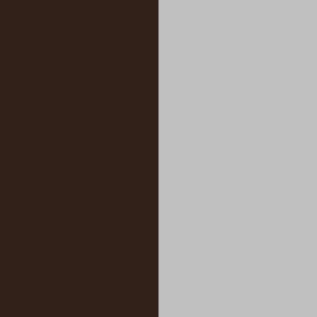 darkbrown/silver