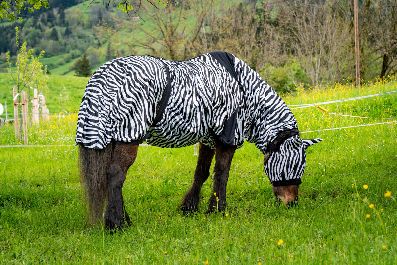 Waldhausen Fliegenmaske Zebra