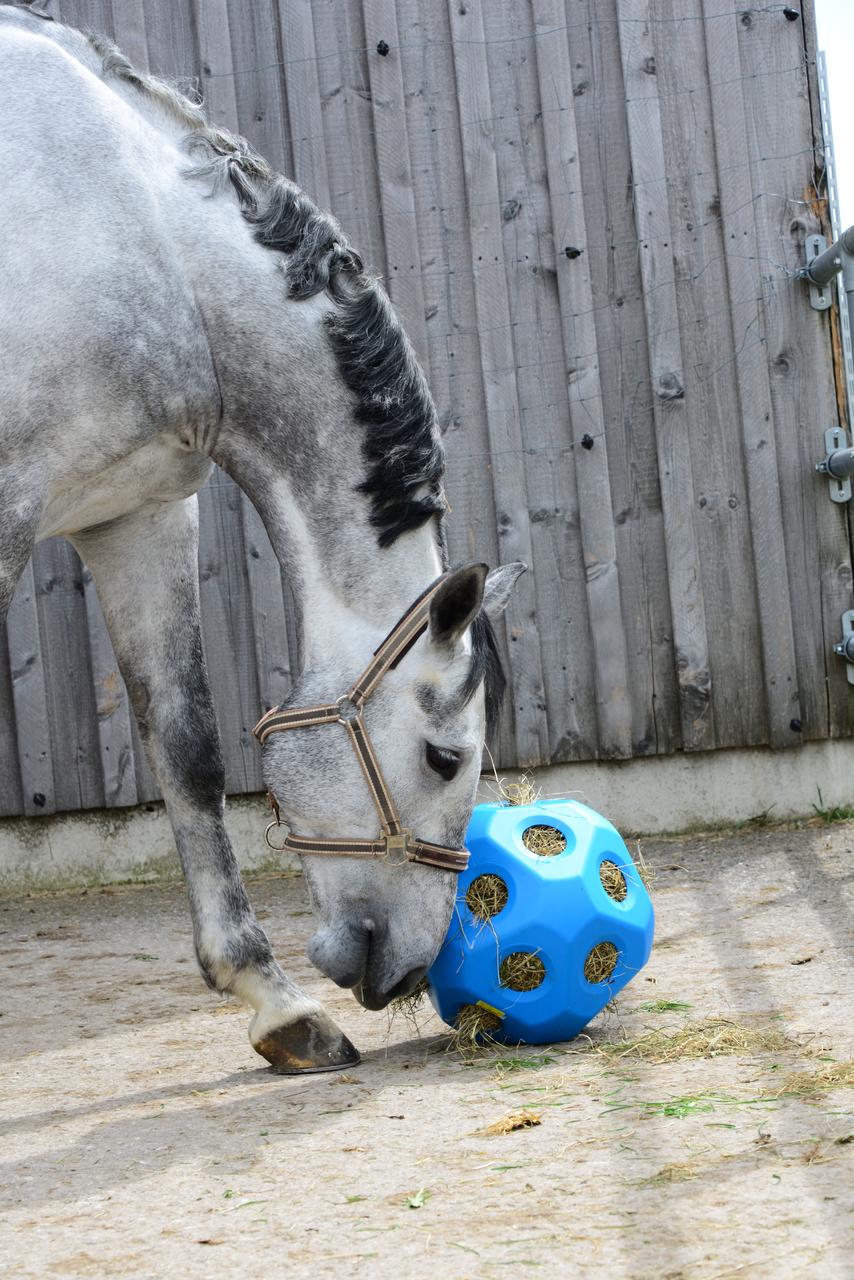 Kerbl Futterspielball 60mm Öffnung