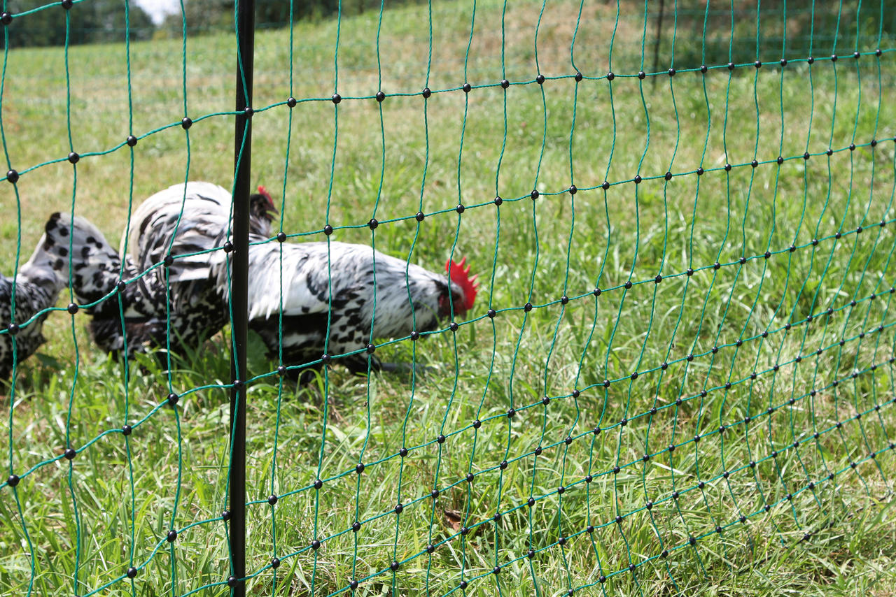 Kerbl PoultryNet Hühnerzaun 106cm, 25m lang