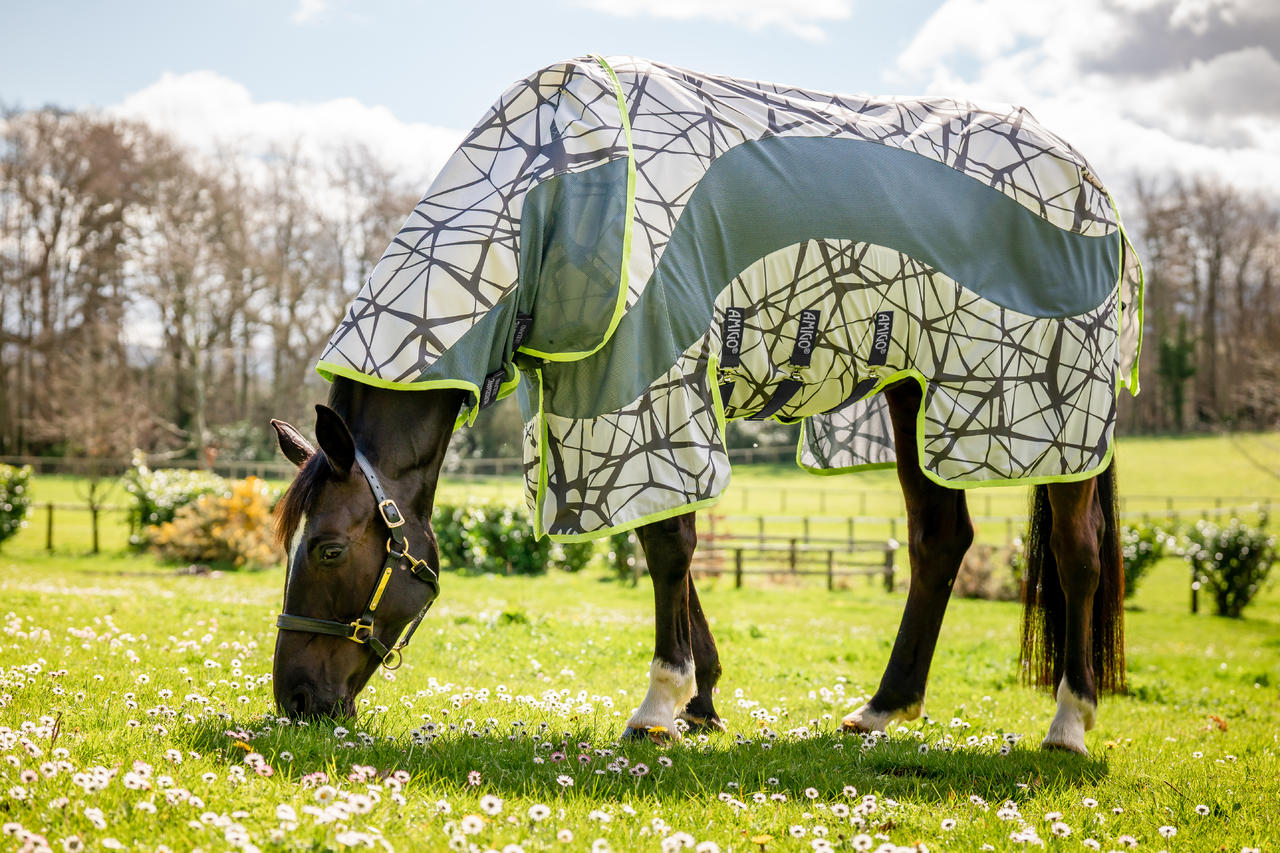 Horseware Amigo® CamoFly Plus