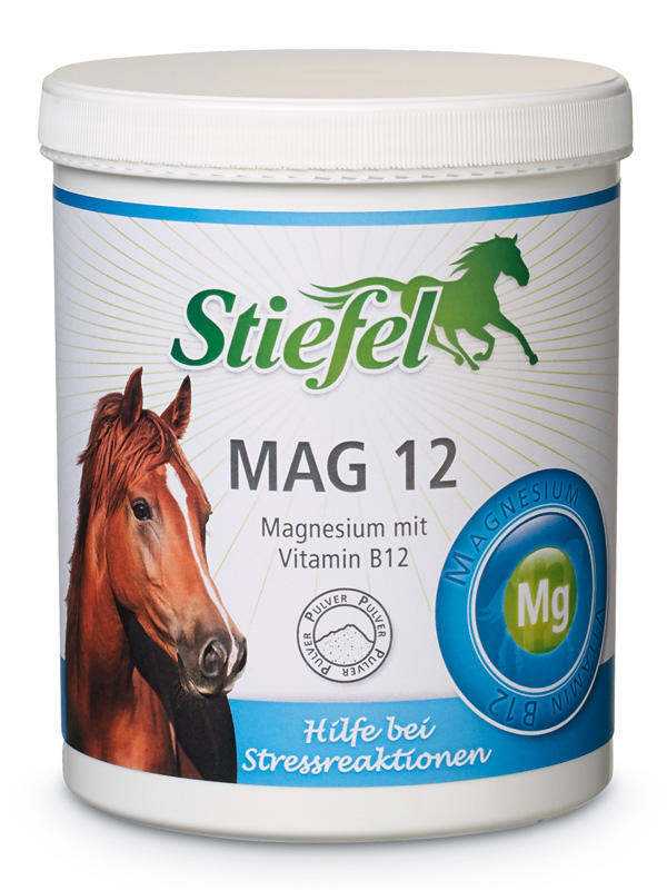 Stiefel MAG Plus Pulver 1 kg