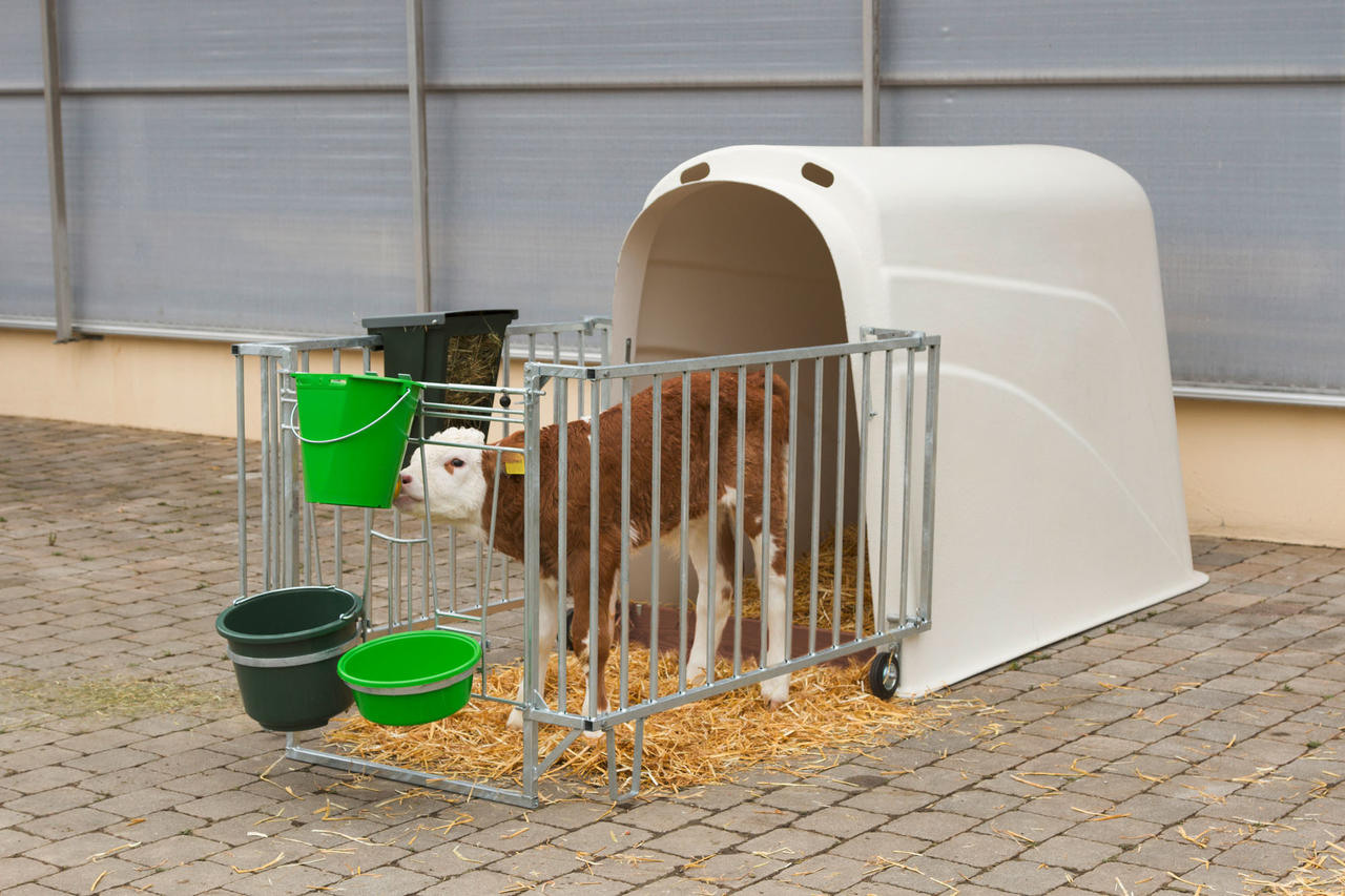 Kerbl Kälberiglu Calfhouse PREMIUM Plus schwer