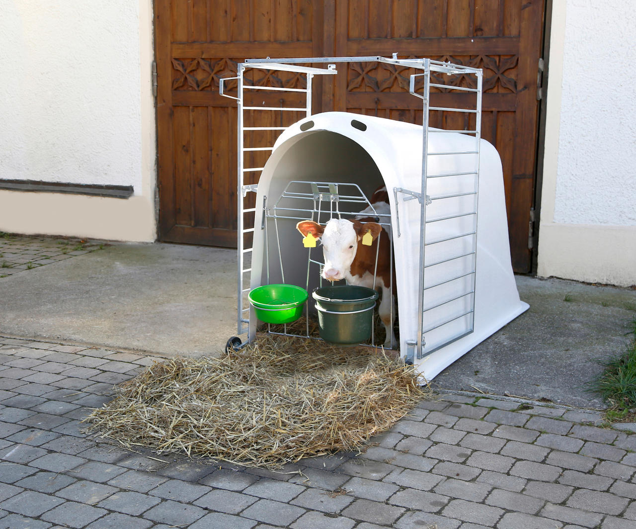 Kerbl Kälberiglu CalfHouse Master Plus, schwer