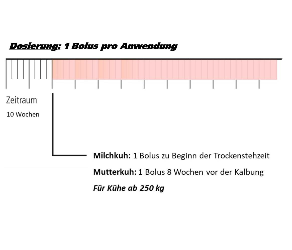 Landmans Best CURATOP Trockensteher - 6 Boli à 110 g