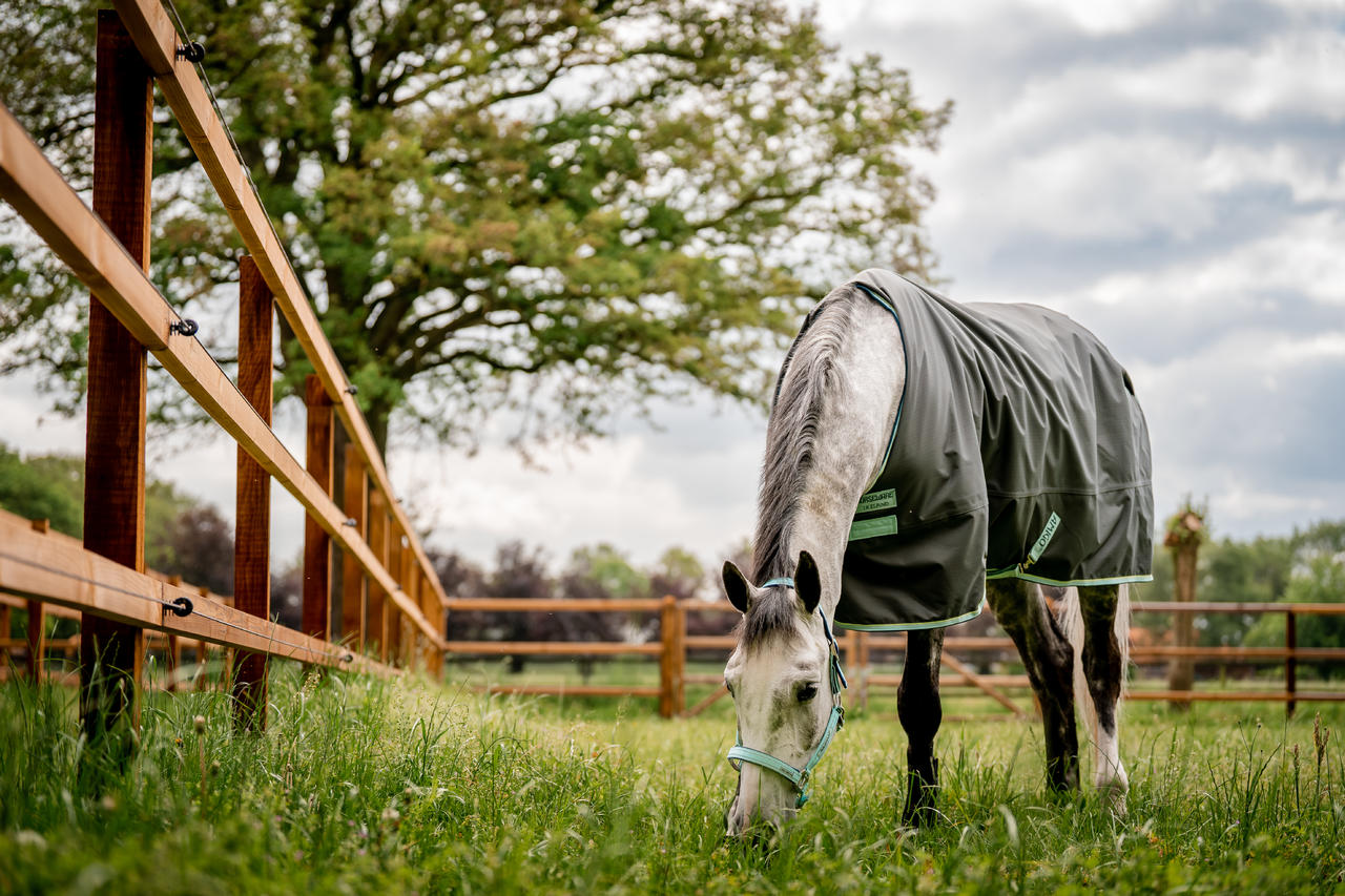 Horseware Amigo Hero 600D Ripstop 50 g Füllung