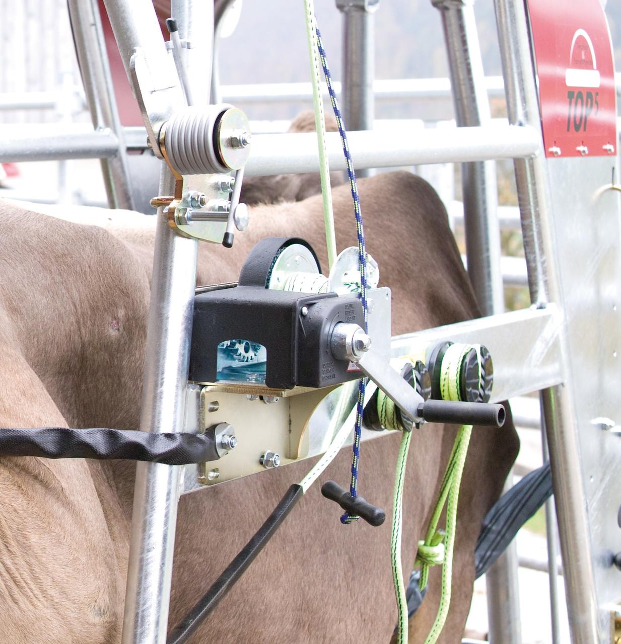 Rosensteiner Hinterfußwinde 950kg, Handbetrieb