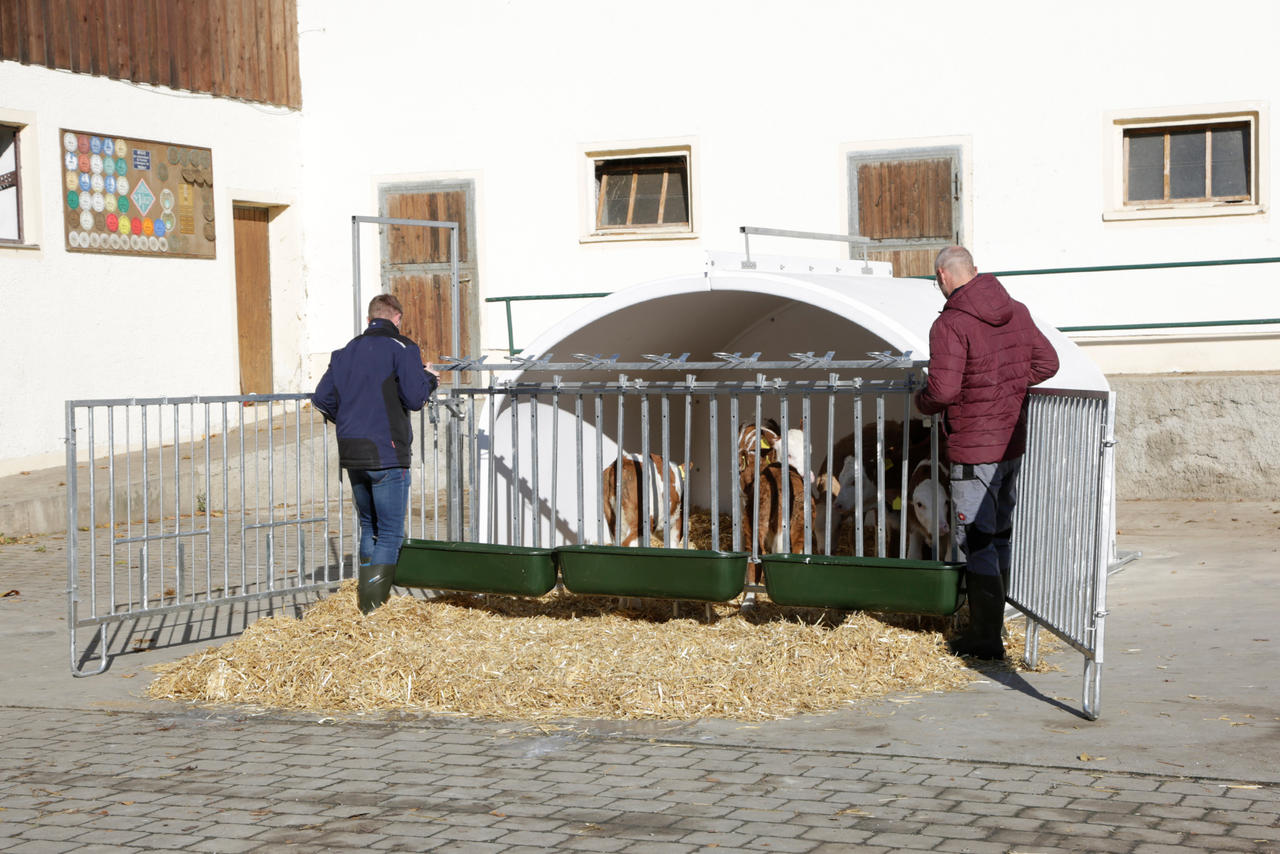 Kerbl CalfHouse Premium XXL mit Umzäunung