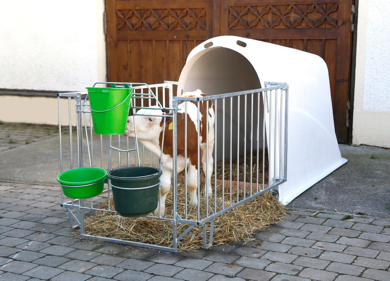 Kerbl Kälberiglu CalfHouse Master Plus, schwer