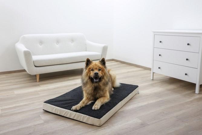 Kerbl Memory-Foam Matratze für Hunde