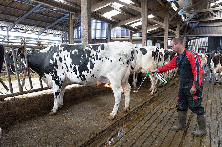 Express Farming Euterhaarentferner DANA verstellb. Lanze