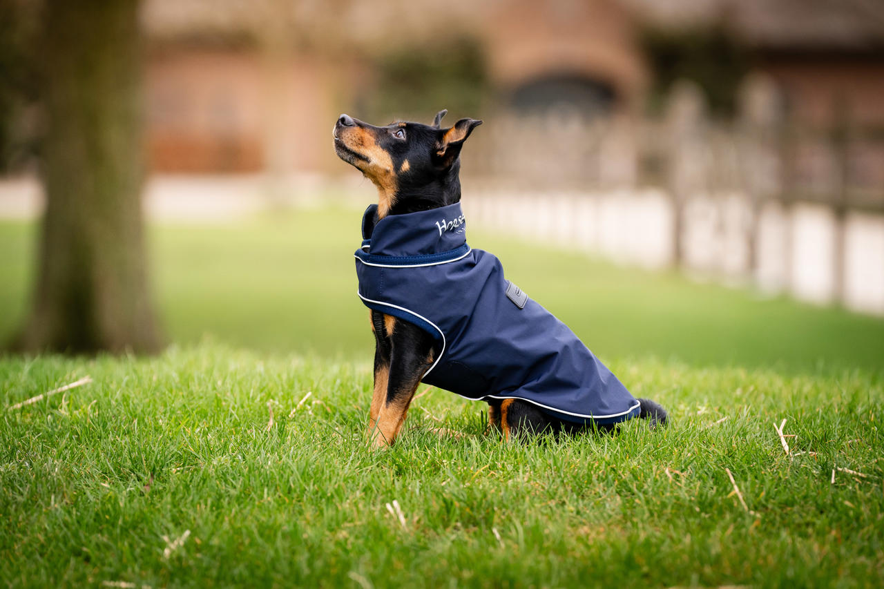 Horseware Signature Dog Rain Coat