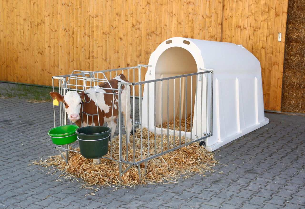 Kerbl Kälberiglu CalfHouse PE UV+ Zaun schwer