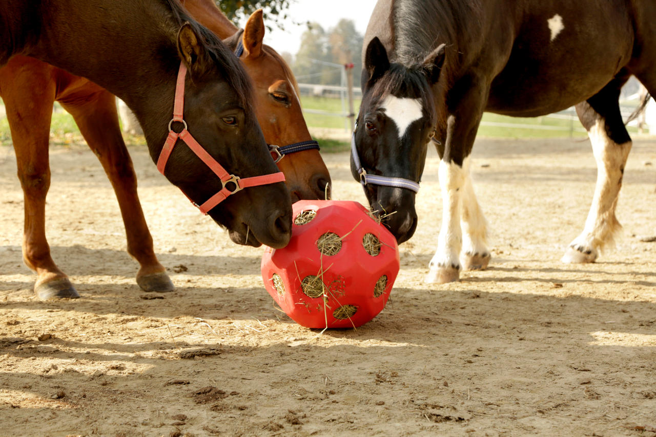 Kerbl Futterspielball 60mm Öffnung