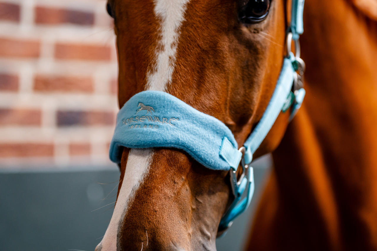 Horseware Signature Grooming Headcollar