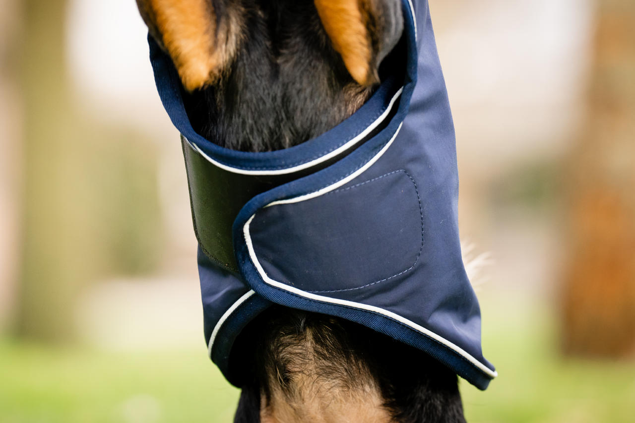 Horseware Signature Dog Rain Coat