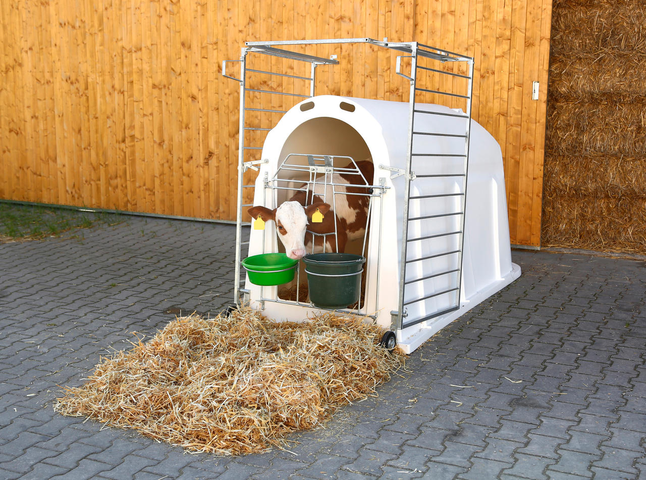 Kerbl Kälberiglu CalfHouse PE UV+ Zaun schwer