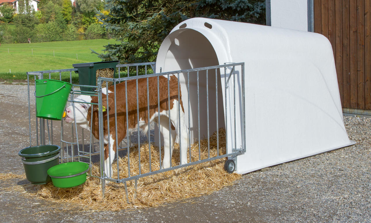 Kerbl Kälberiglu CalfHouse Master Plus, leicht