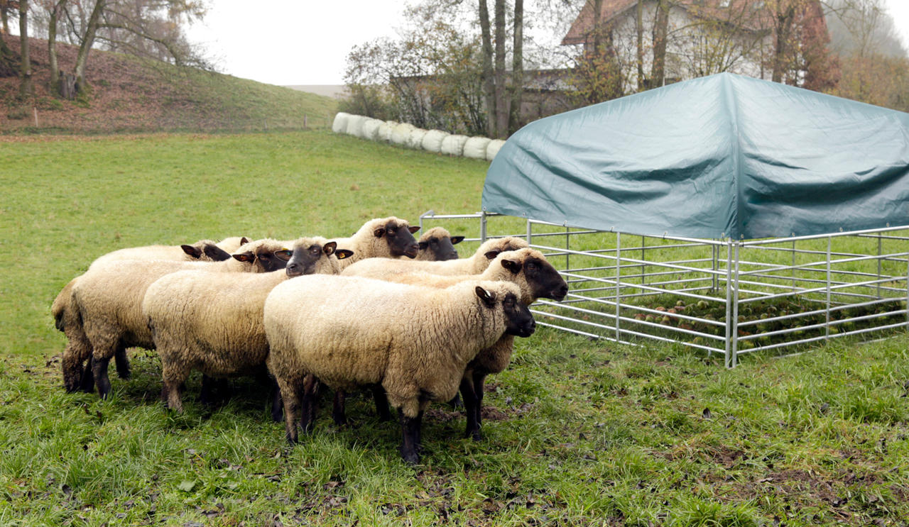 Kerbl Weideunterstand für Schafe und Ziegen