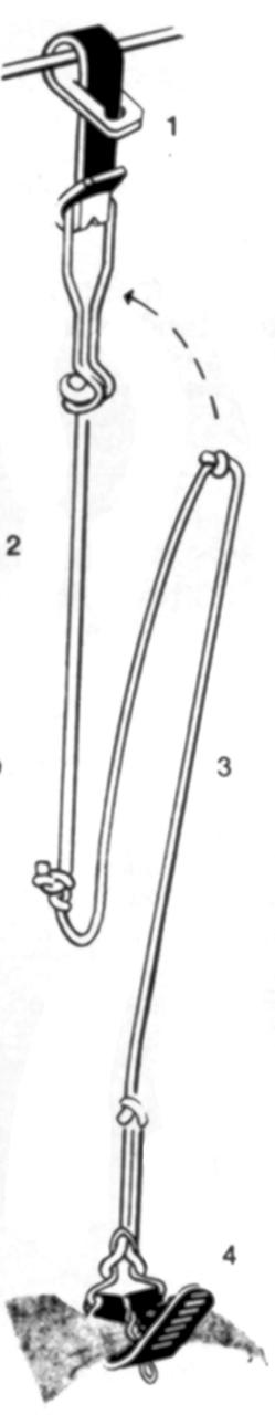 Kerbl Kuhschwanzhalter "Standard"