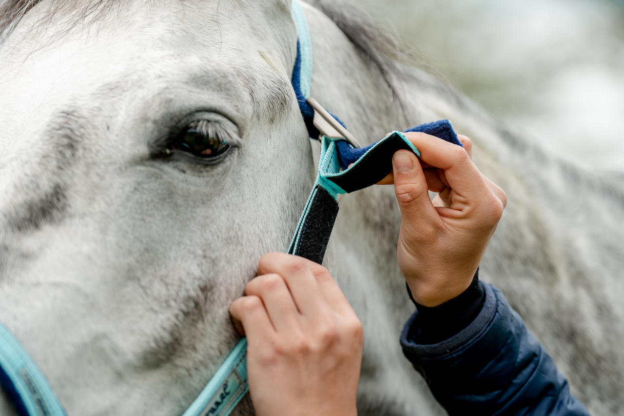 Horseware Field Safe Headcollar