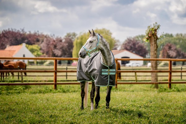 Horseware Amigo Hero 600D Ripstop 50 g Füllung